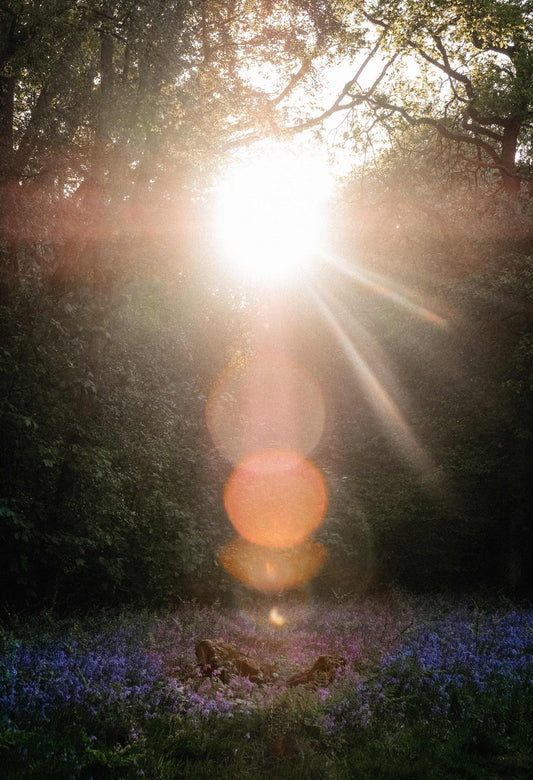 Truth - The Ever-Shining Light of Satya - Damayanti.store