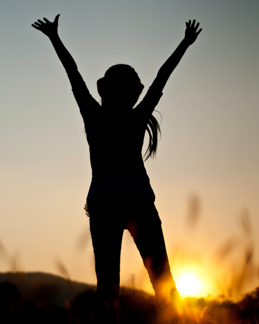The Fear Shadow and How to Let the Sun Shine In